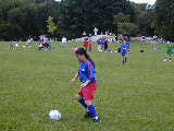 Click to see P9160018.JPG